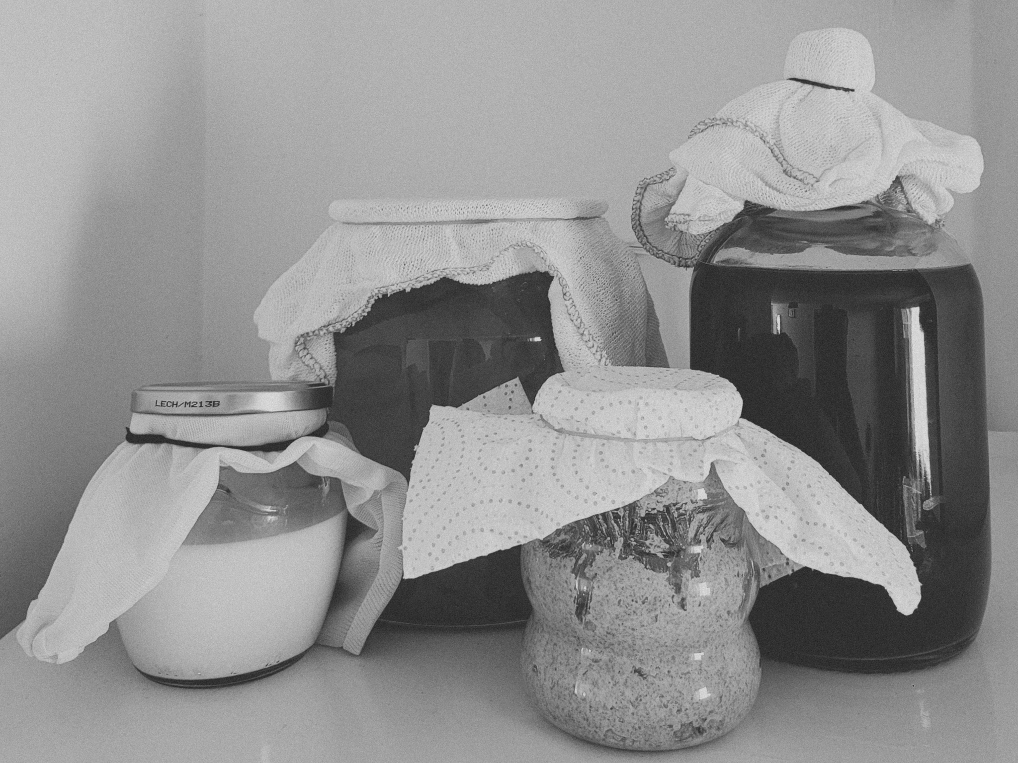 Fermentation jars covered in cloth