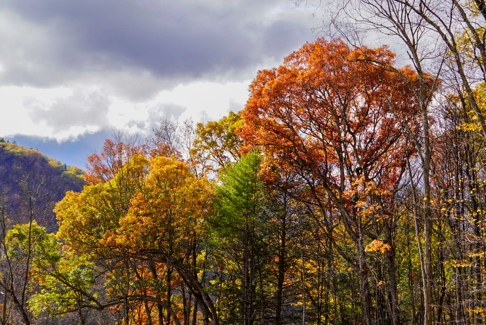 Autumn colour in the Berkshires