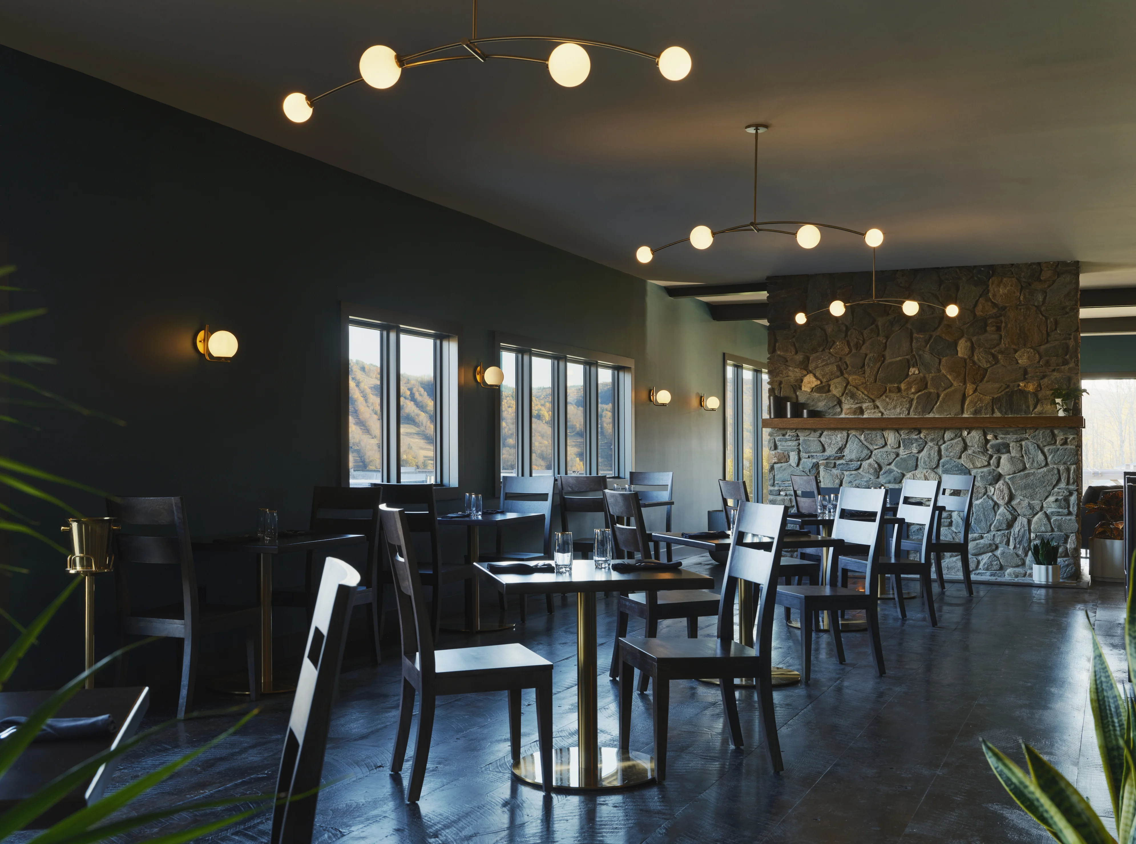 Elegant restaurant dining experience