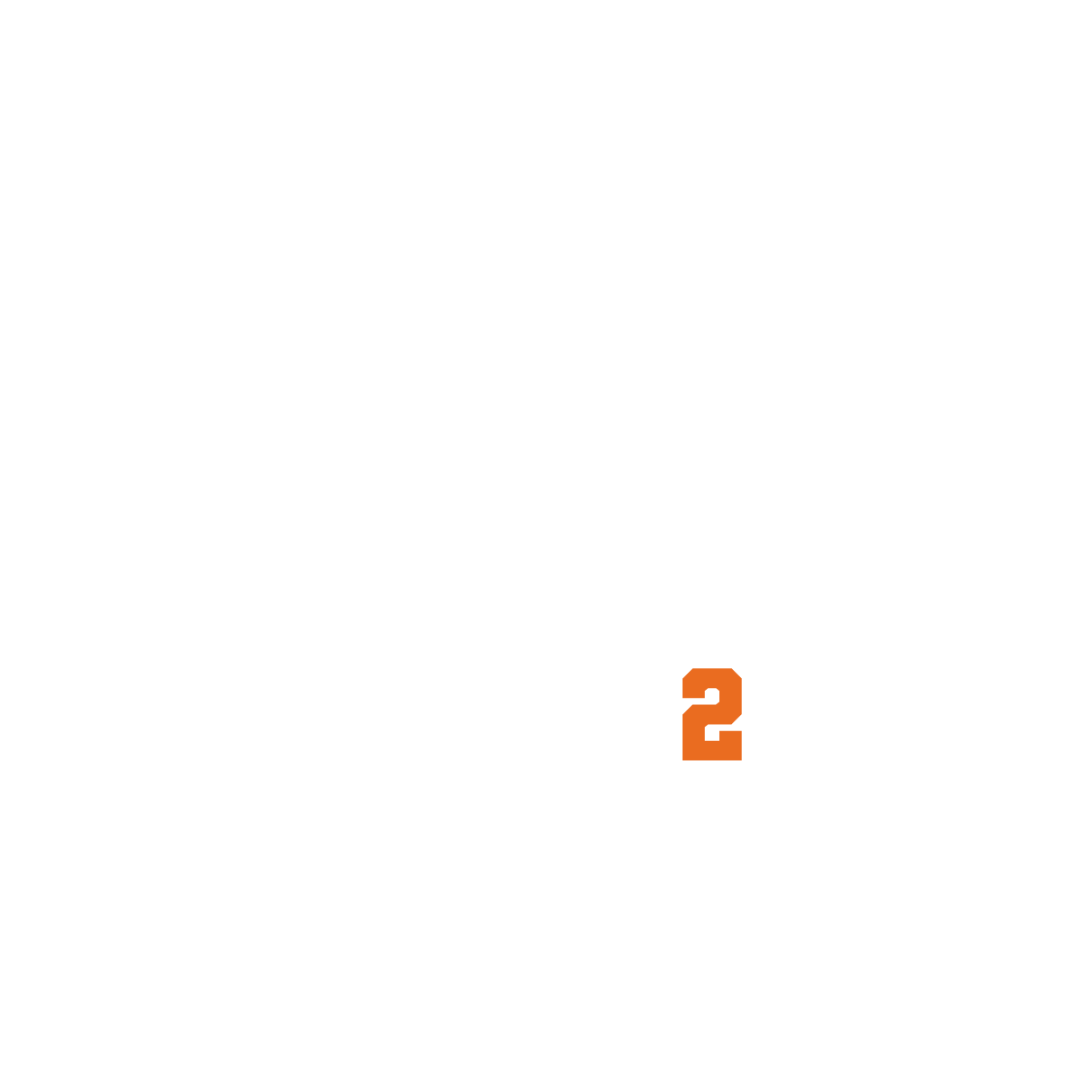 Andes2Amazon logo, it has a llama as the base, in the background it shows the Illimani, characteristic of the Andes