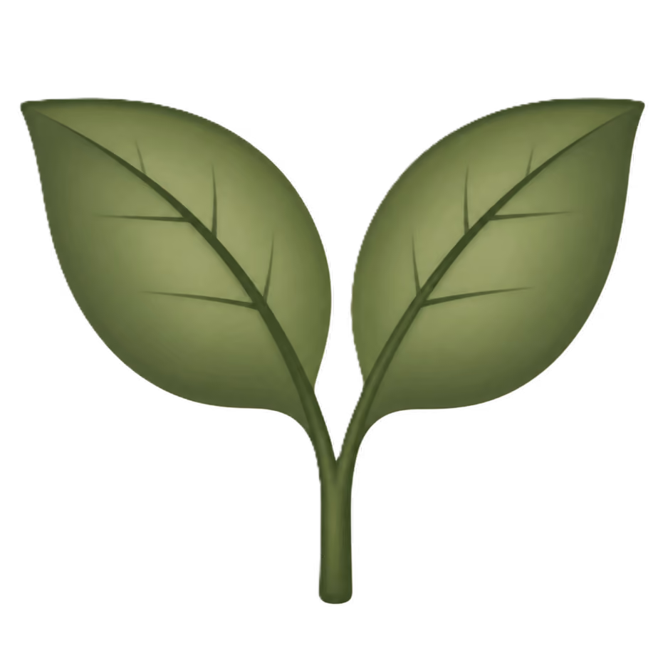 Two green leaves sprouting from a single stem on a transparent background.