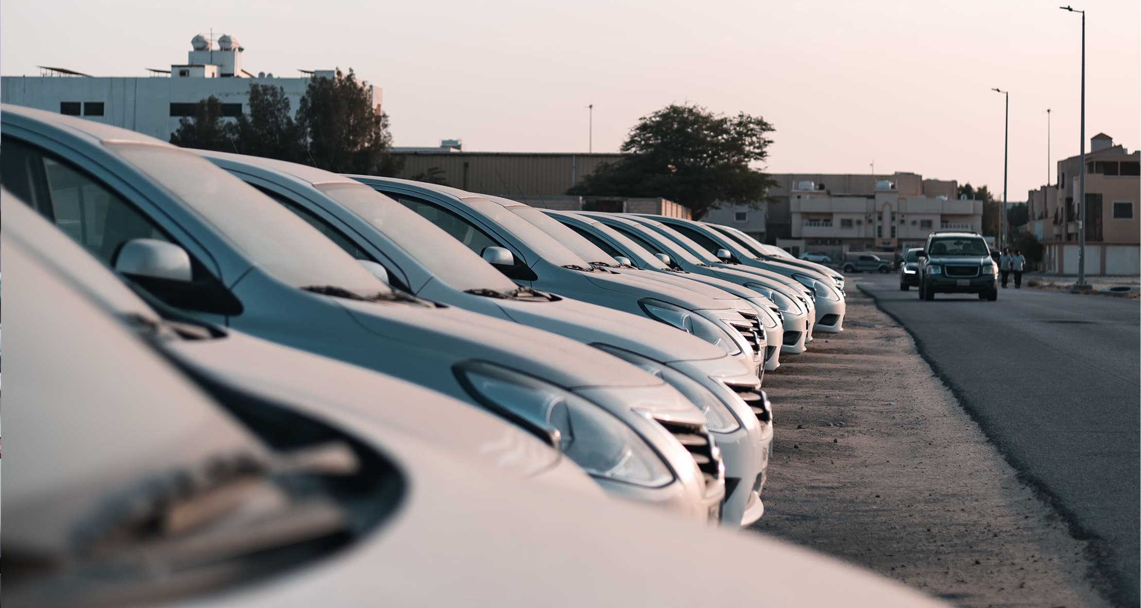 Row of white cars parked beside a street with buildings and trees in the background at sunset.