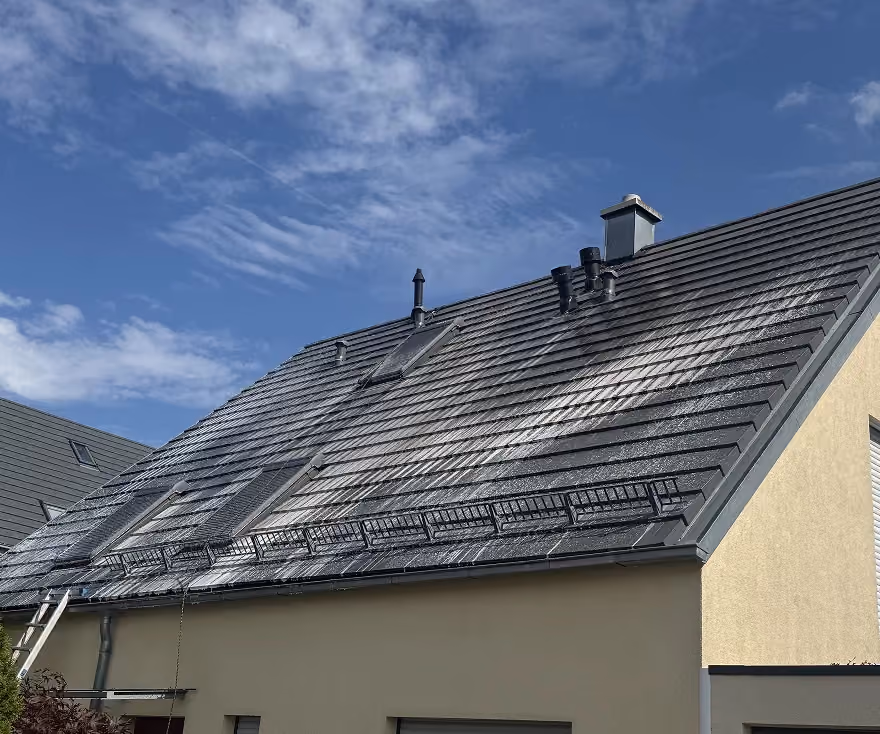 Dach-Desinfektion und Dachreinigung in Erlangen, professionell durchgeführt