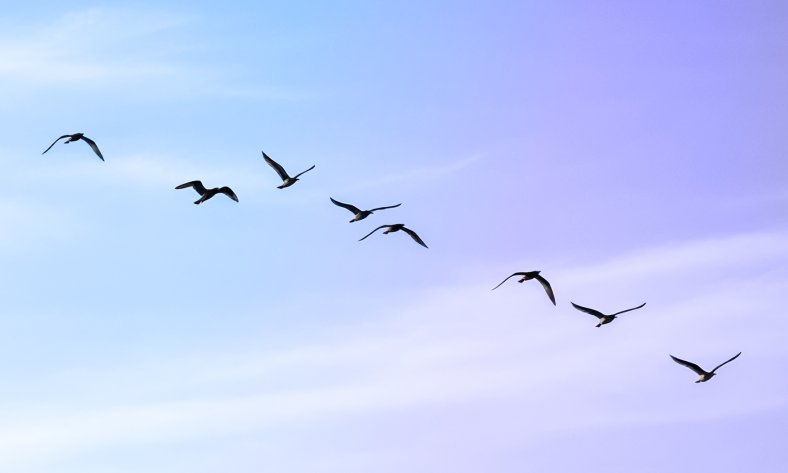 Time’s up: Migrate from SAP to modern commerce now and future-proof your business