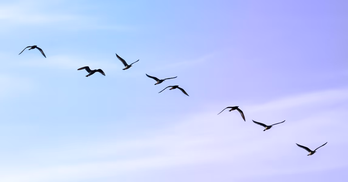 SAP Hybris is reaching end of life: Migration options for enterprises before July 31, 2026