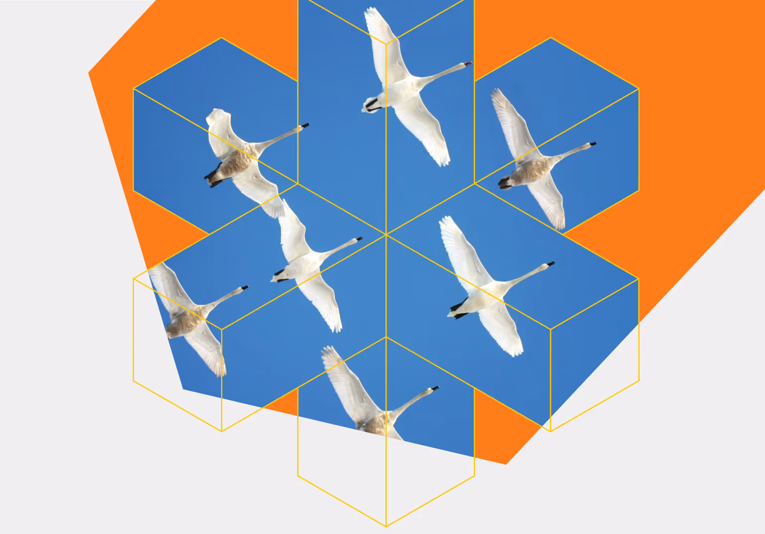 Migrating from Adobe Commerce to commercetools