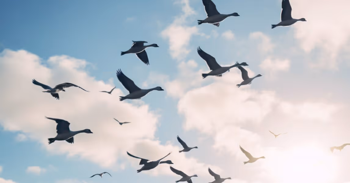 Migrating Your Commerce Platform to the Cloud