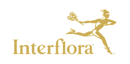 How Interflora UK modernized eCommerce to digitally bloom in only 9 months