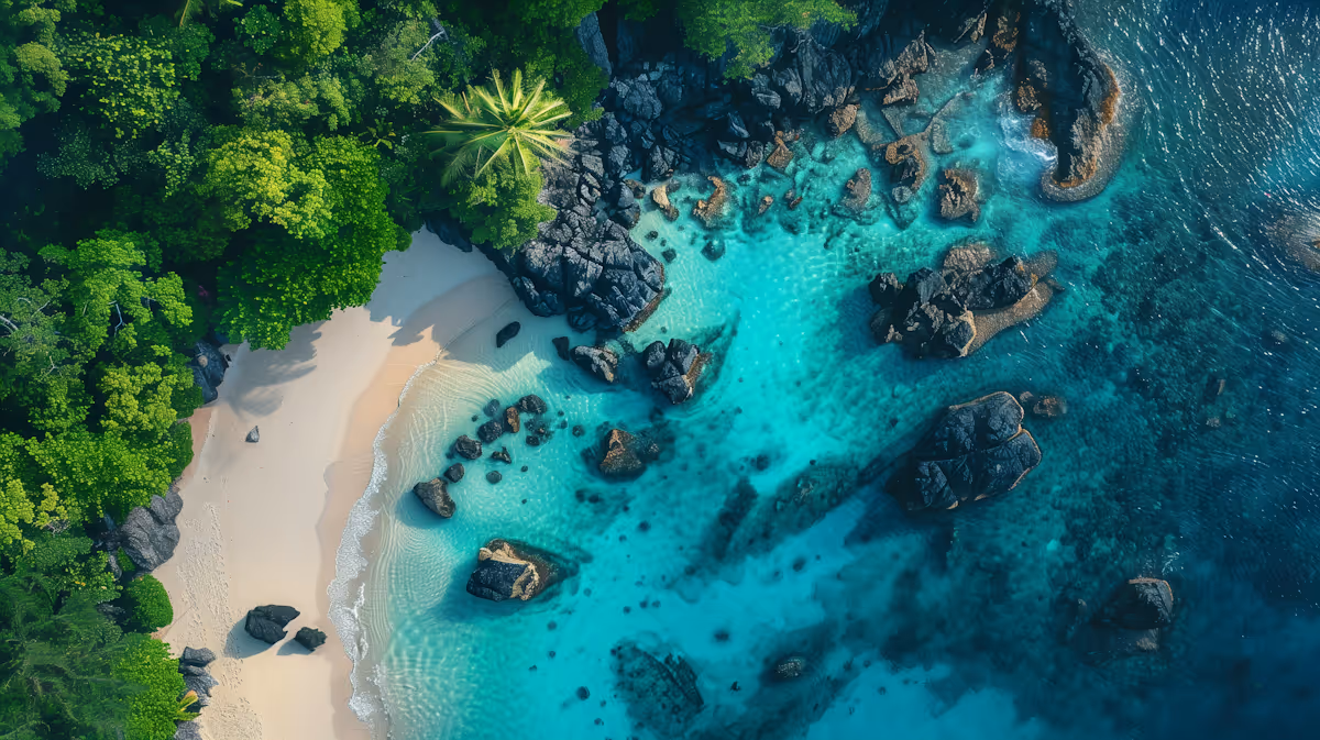 Aerial view of a tropical beach