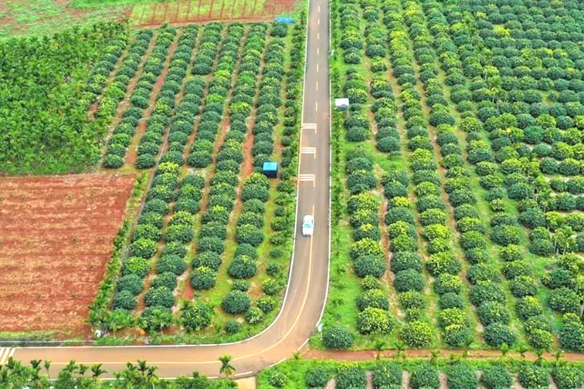 Farmland near Bangalore for sale
