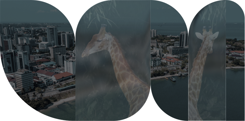 Dar es Salaam, Dar es Salam, Tanzania
