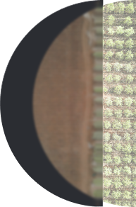 sustainability
