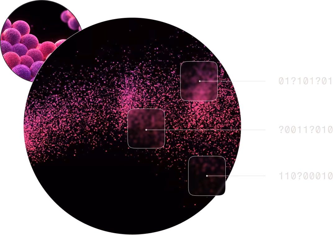 Magnified pink and purple spheres and particles on black, with labeled zoomed areas showing clusters of particles.