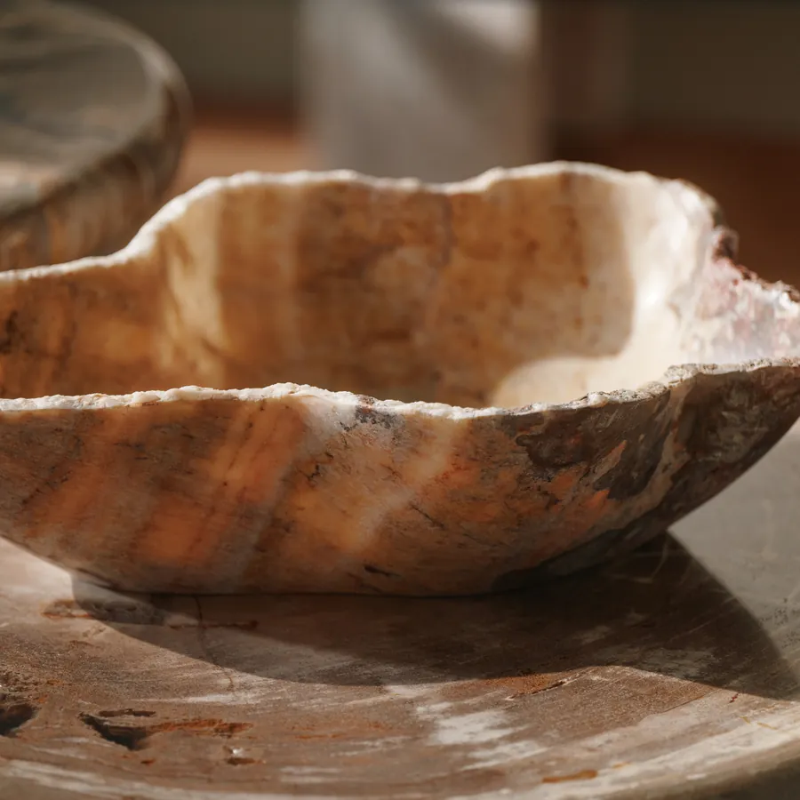 Close-up van een onyx schaal op versteend hout