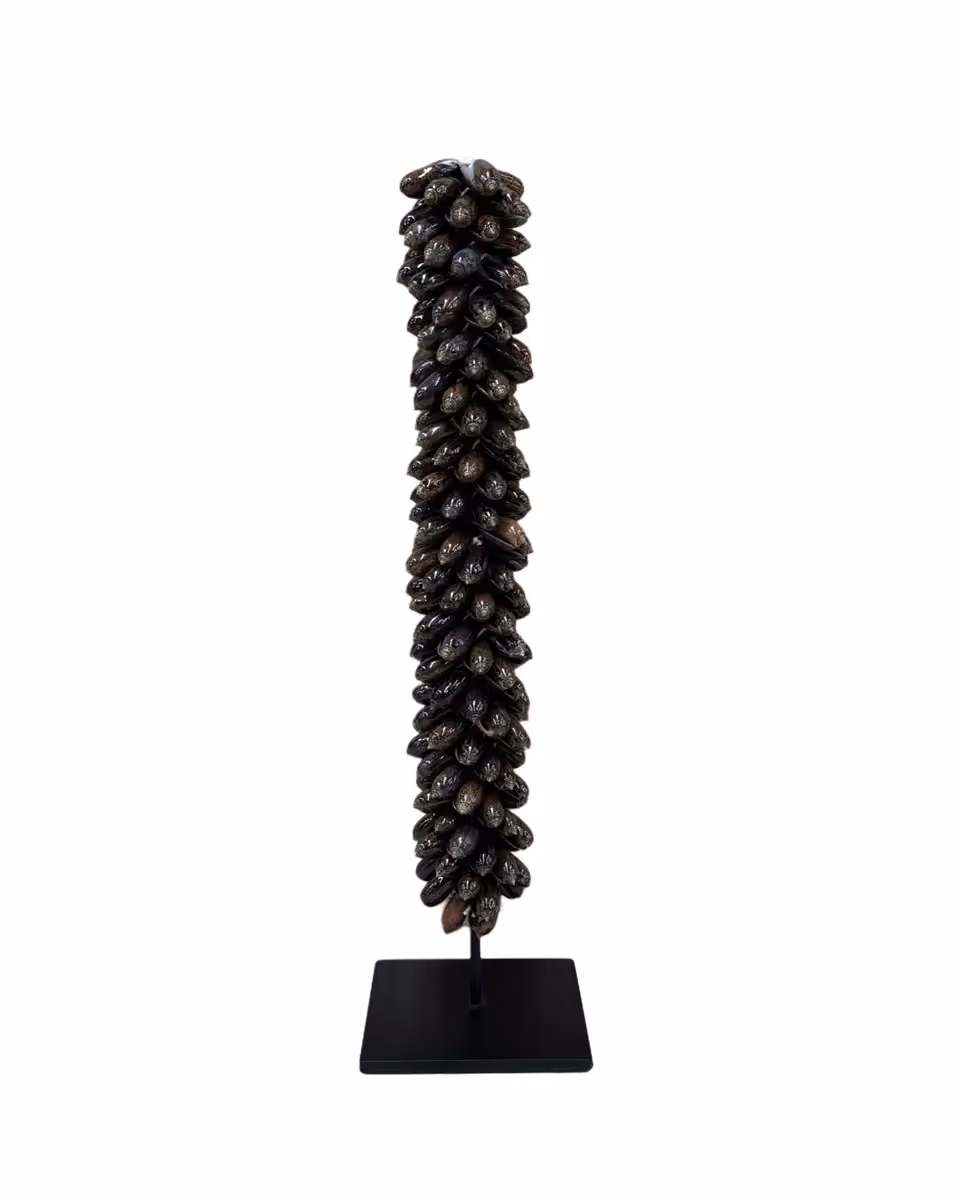 Serang shell tower brown 30 cm
