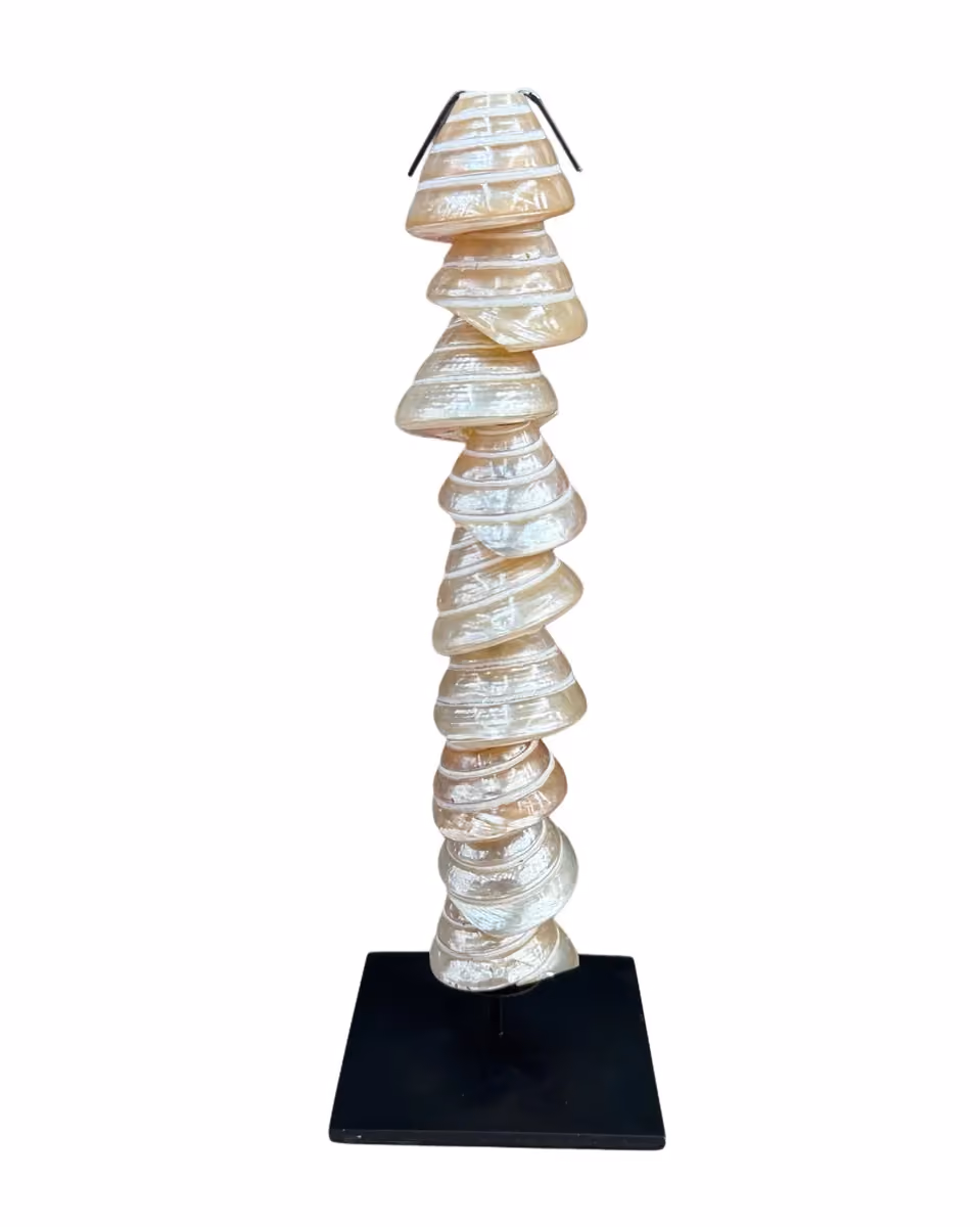 Langsa tower white shell 30 cm high