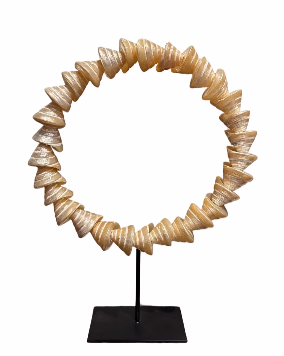 Oreng shell circle white besar