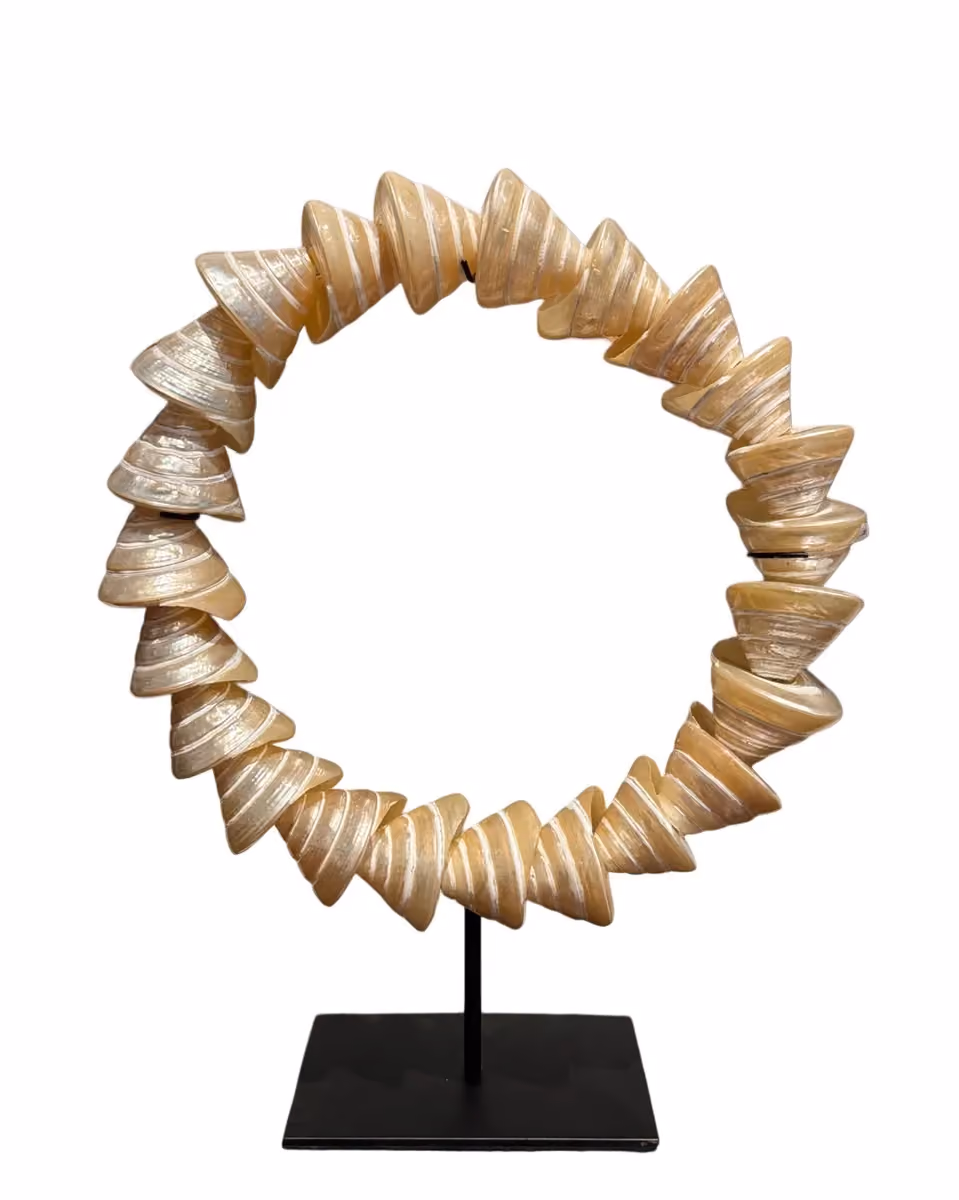 Oreng shell circle white kecil