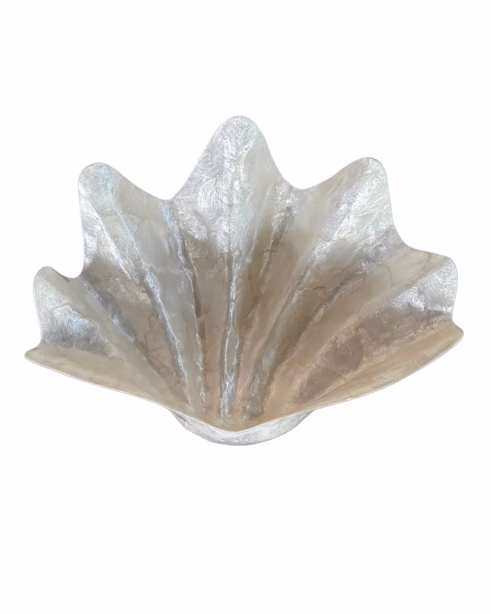 Urung shell deco large