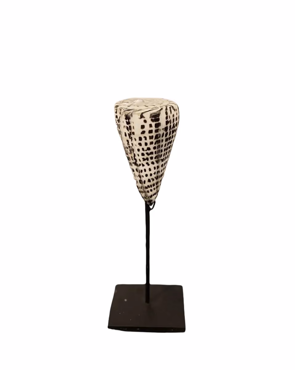 Kiunga shell on stand kecil