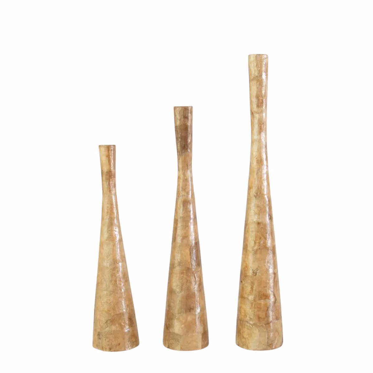 Panjang shell vase gold set of 3