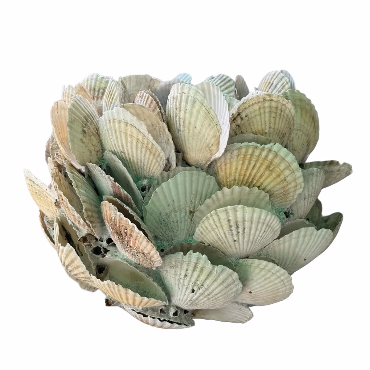 Limbung shell vase white besar