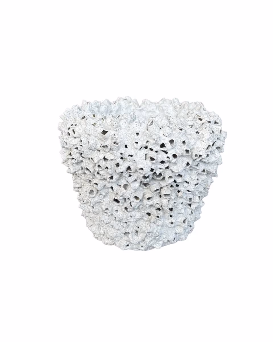 Nuhu shell pot small