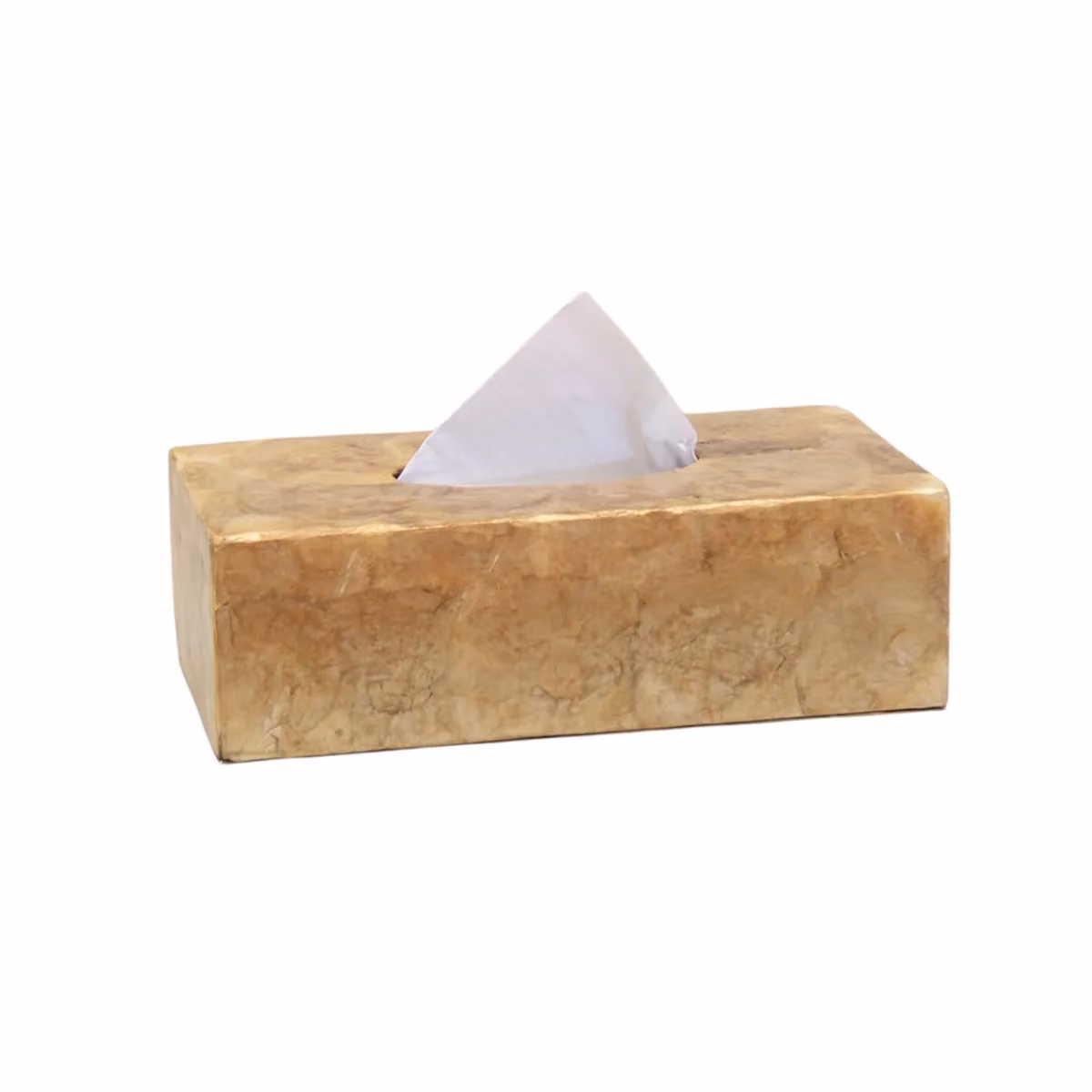 Gepo shell tissue box