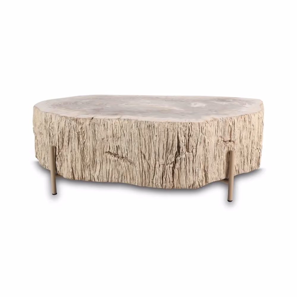 Lampung petrified wood coffeetable light colour