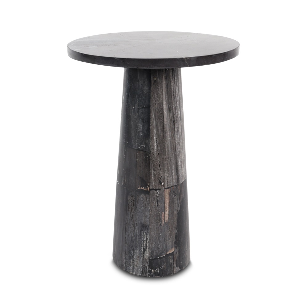 Ahiolo sidetable petrified wood high black