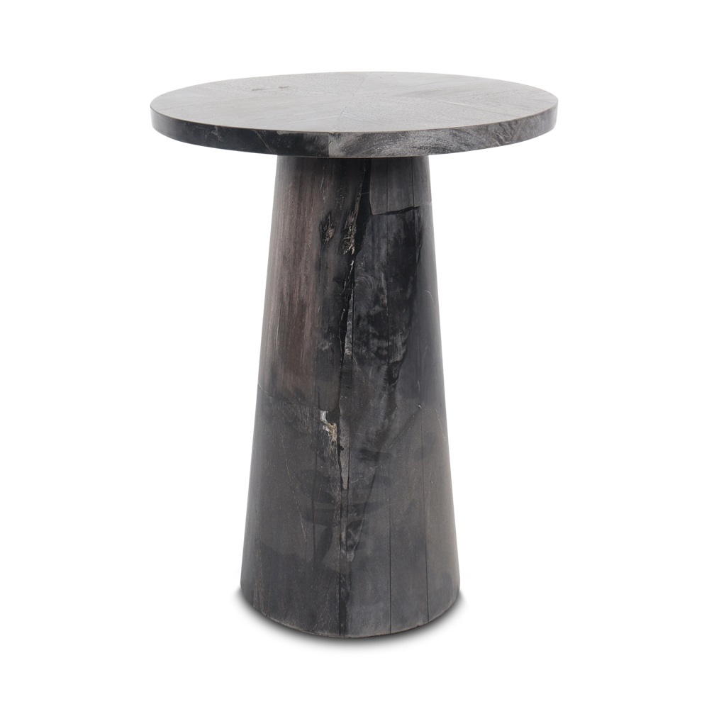 Ahiolo sidetable petrified wood low black