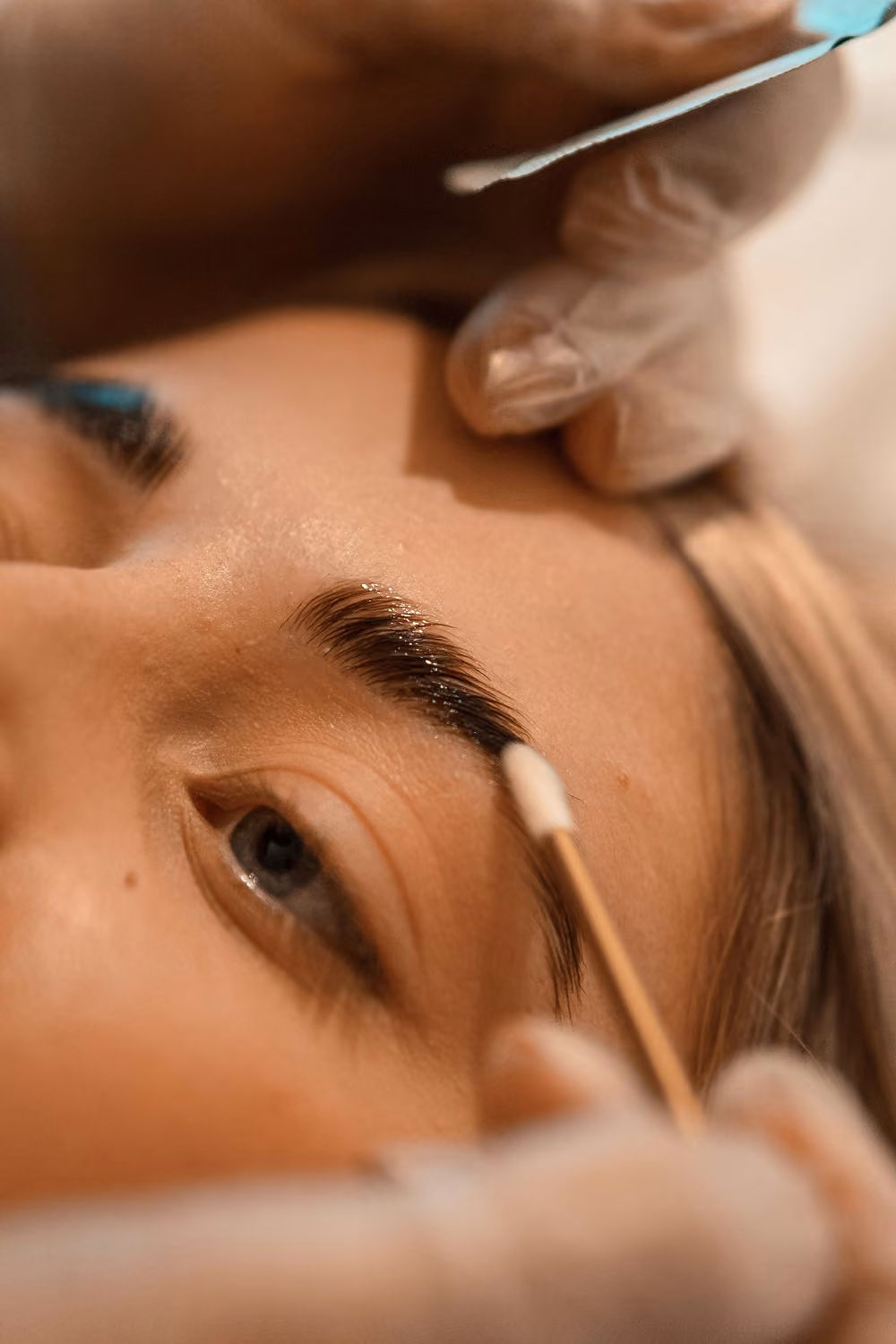 Close-up of blue eye and eyebrow being groomed with a cotton swab by gloved hands.