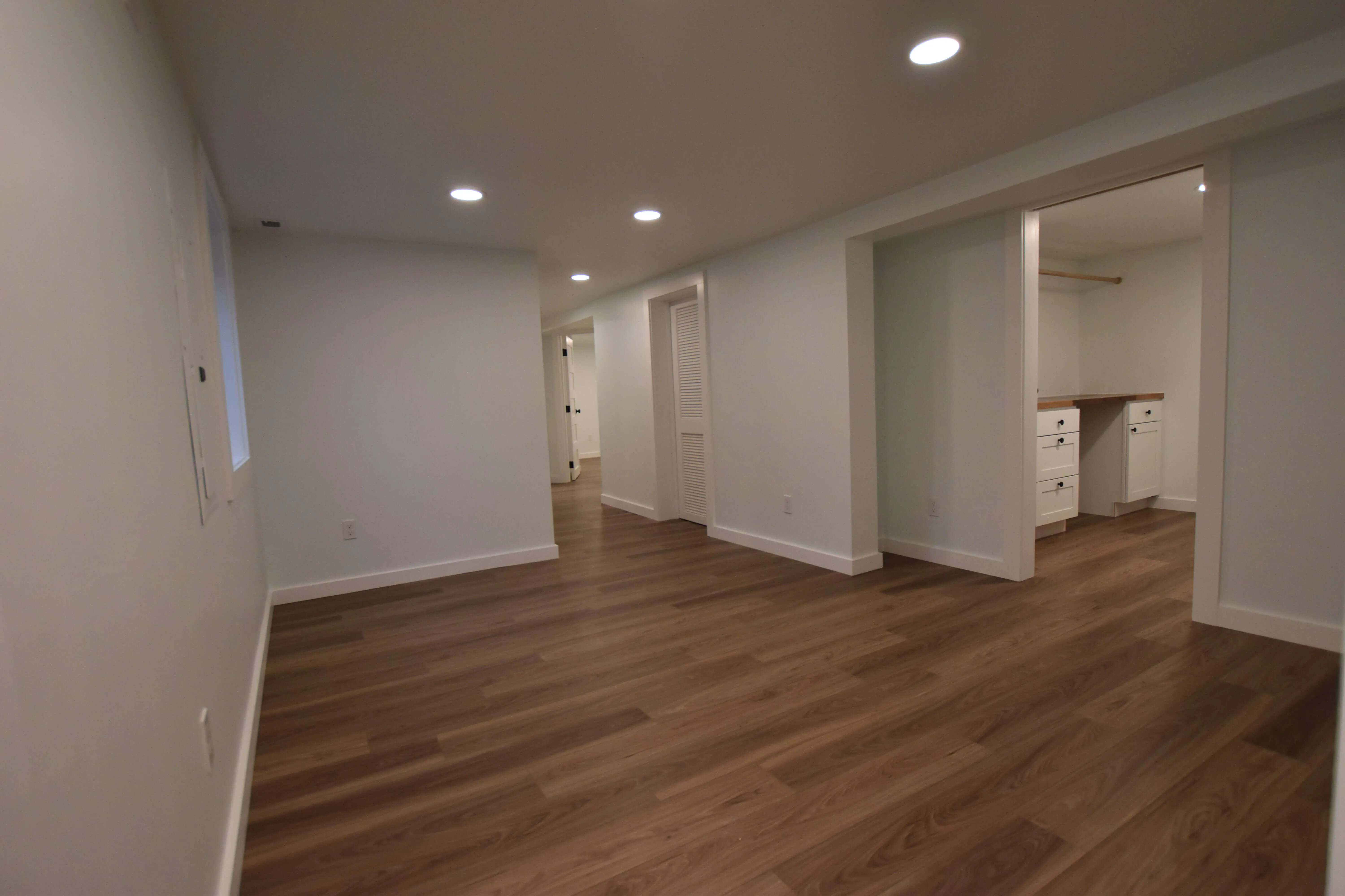 Basement Remodel