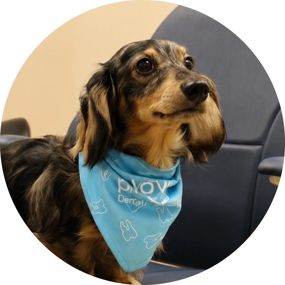 Nova Dental Care team member Kaos