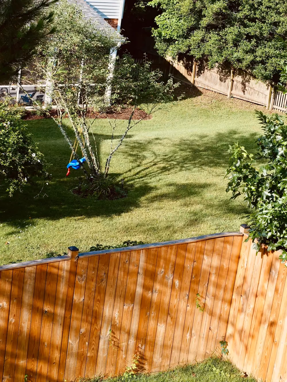 Garden, stock image