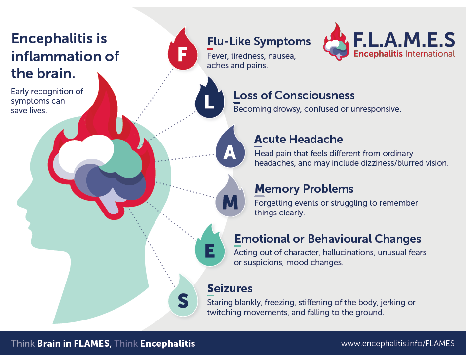 F.L.A.M.E.S. infographic