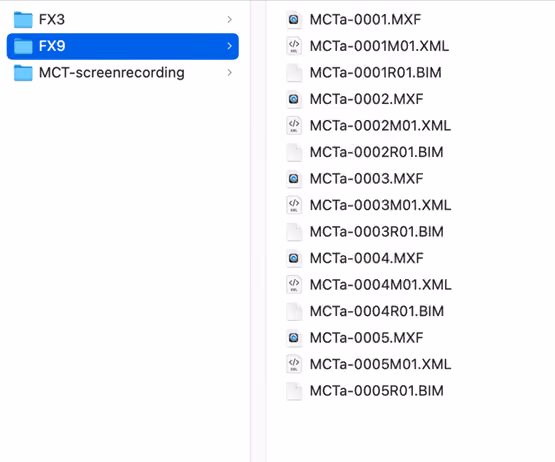 File naming example