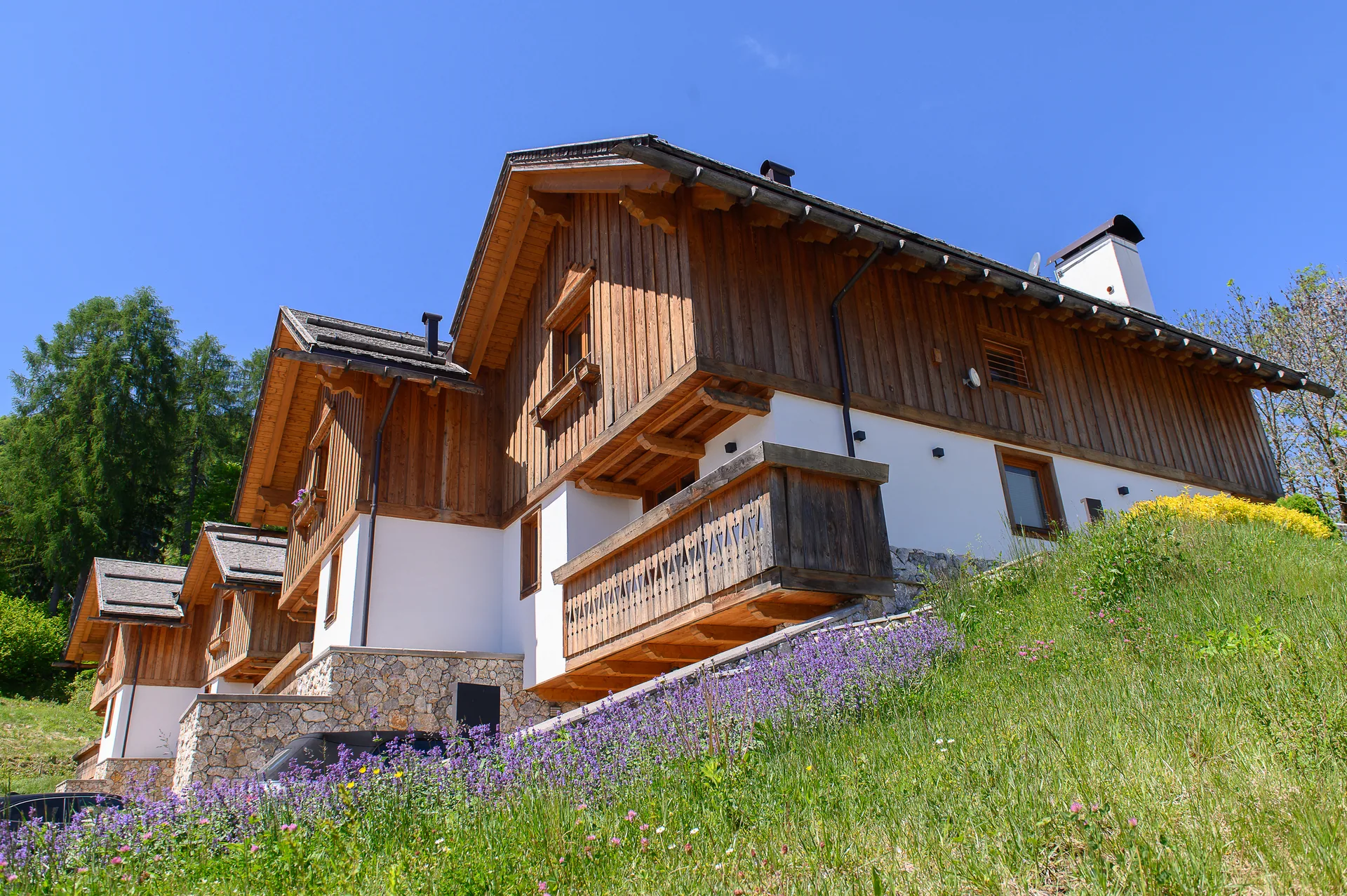 Chalet-Ensemble mit Holzfassaden und blühender Bergwiese