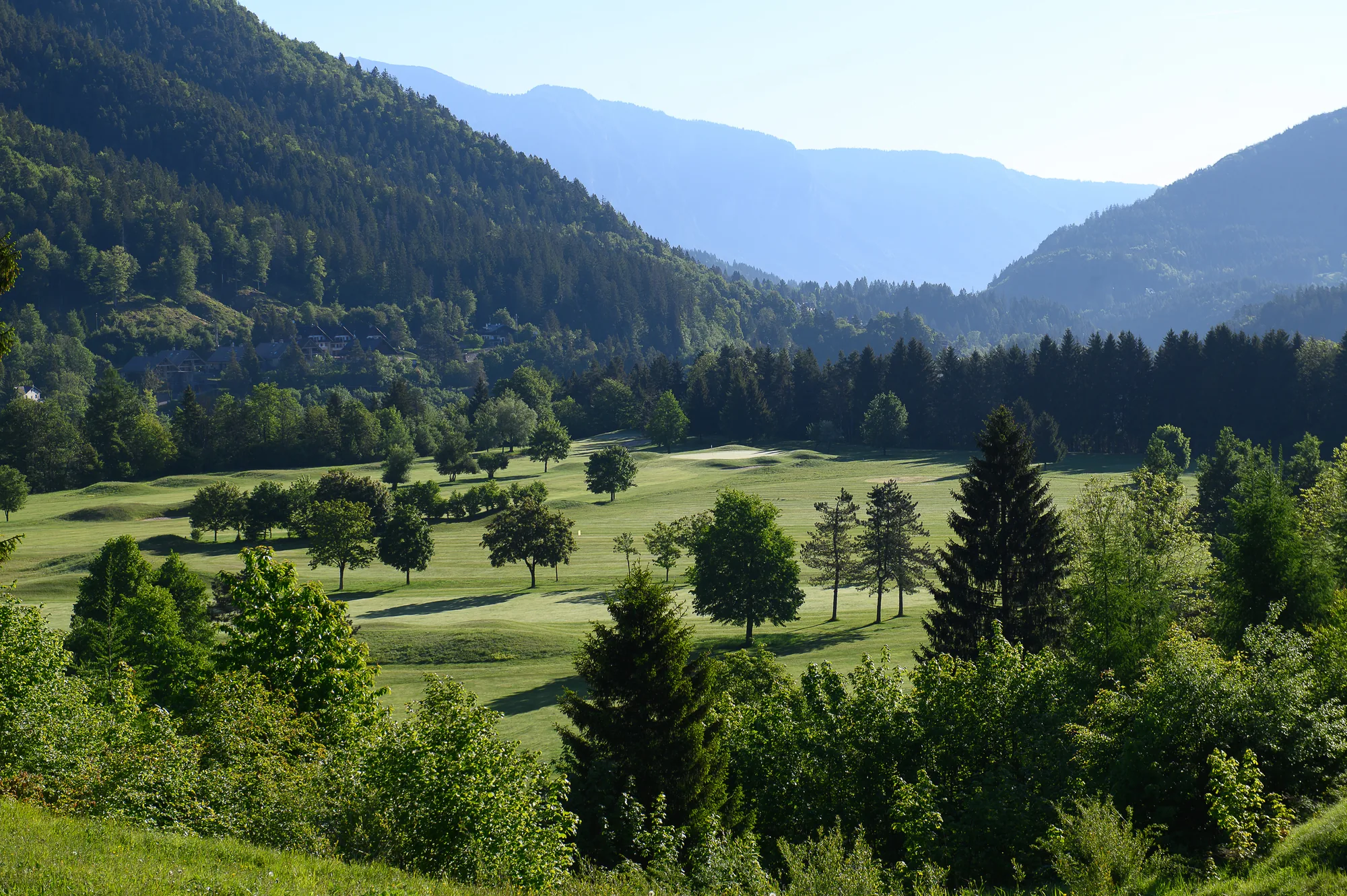 Blick auf die Fairways zwischen Bäumen und Bergen in Tarvisio