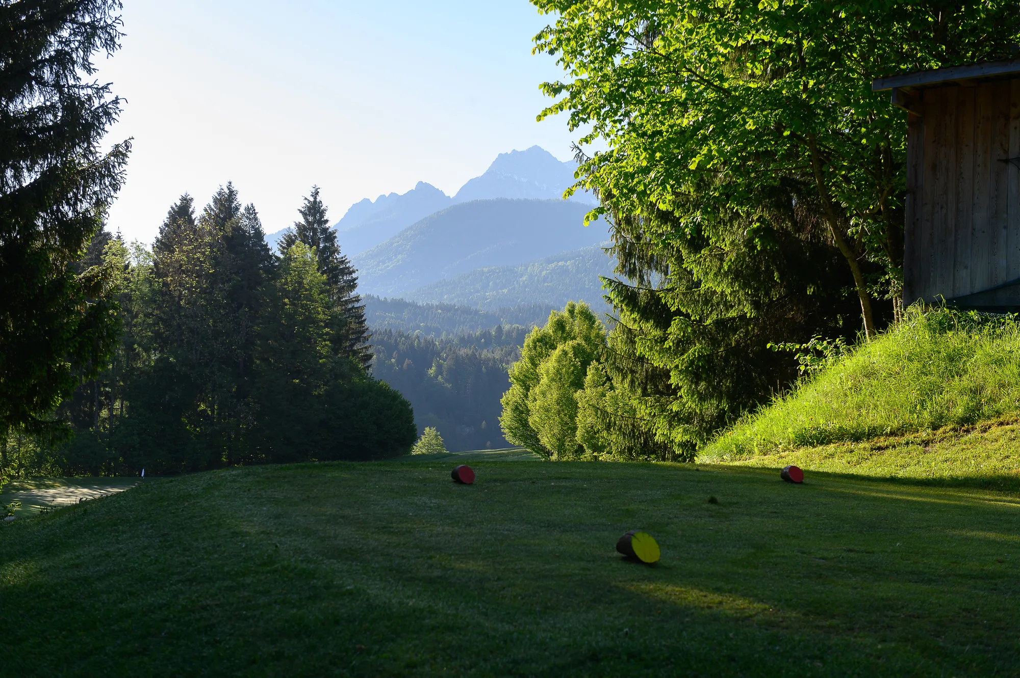Abschlag zwischen Bäumen mit Bergpanorama