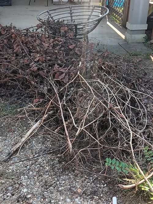Debris Removal