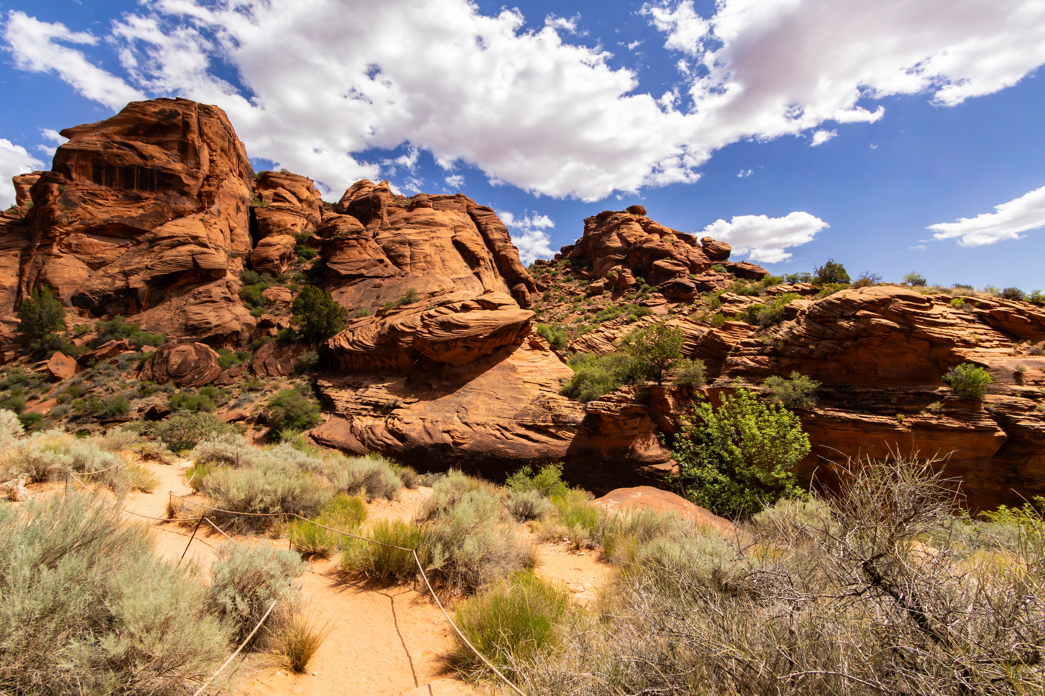 Sites from the Red Reef Trailhead that runs through Cottonwood Canyon in Red Cliffs National Conservation Area in Utah