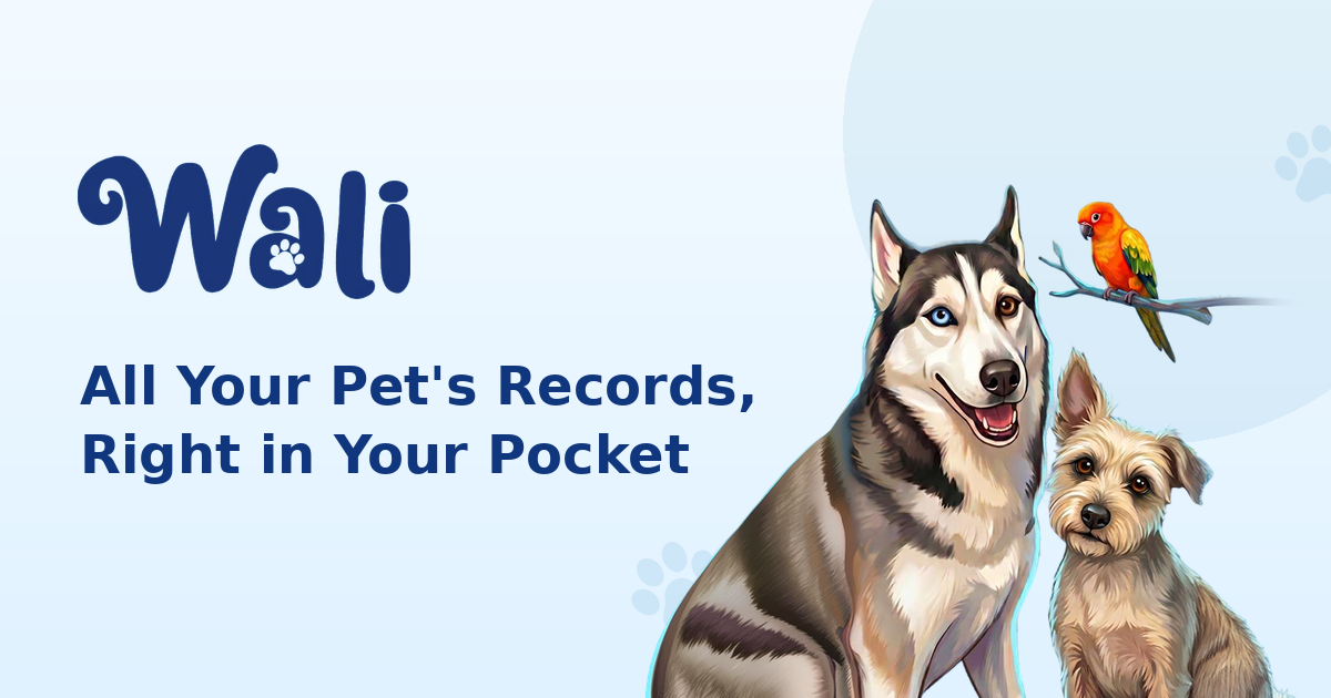 Cali, Luna, and Ellie, the three pets behind Wali, with the Wali wordmark