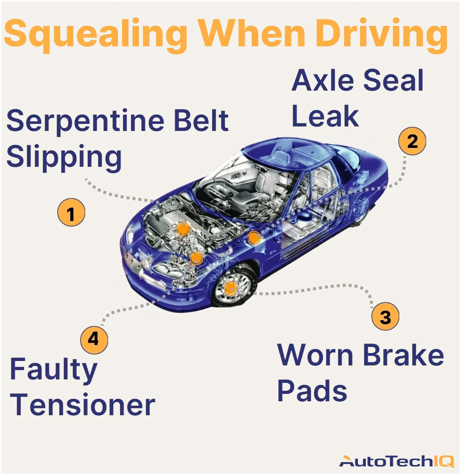 Car squealing noise diagnosis in Silver Spring MD