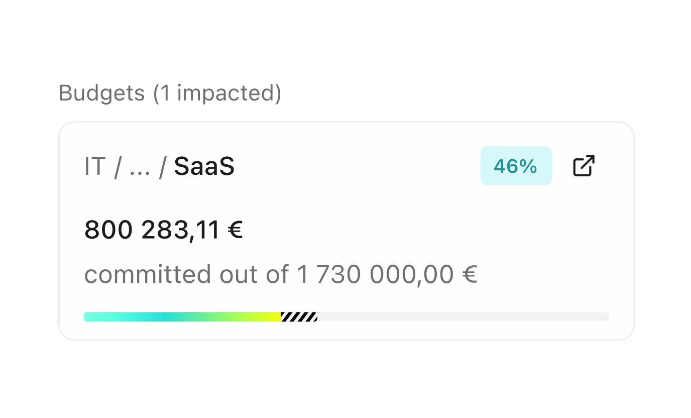 An impacted IT SaaS budget at 46%, with EUR 800,283.11 committed of EUR 1,730,000