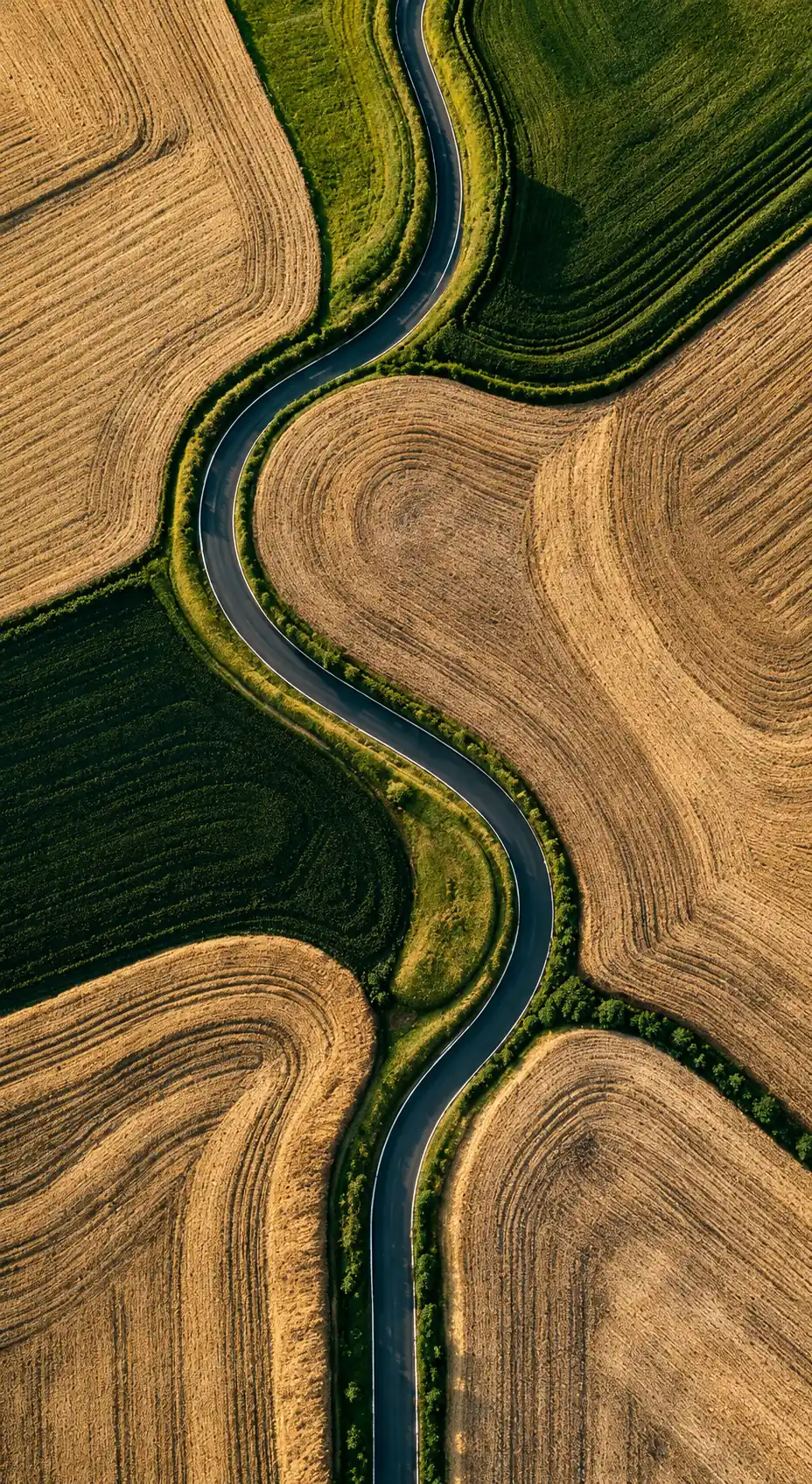 Aerial view of a road winding between farm fields