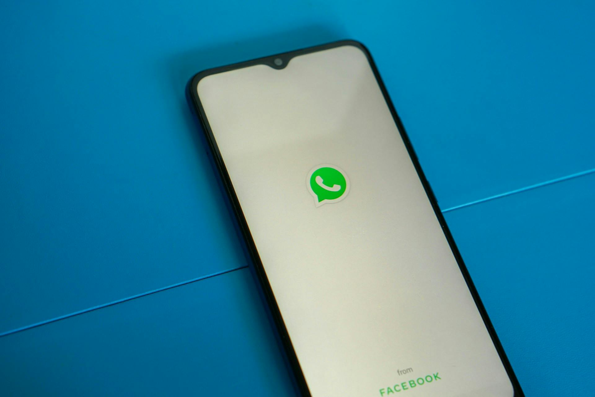 Smartphone displaying the WhatsApp logo on a blue surface.