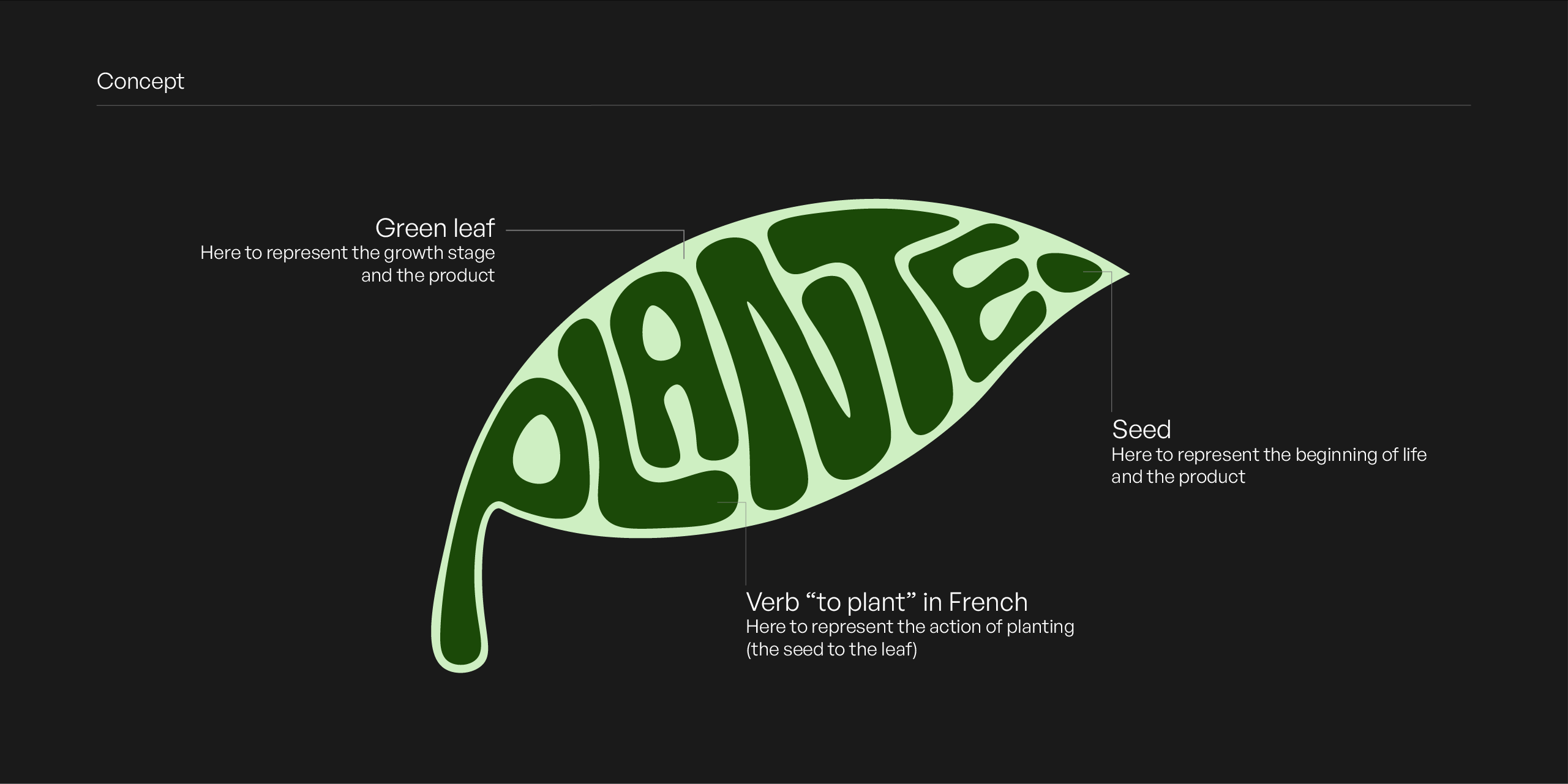 Green leaf-shaped graphic with 'PLANTE' word shaped inside representing growth, seed, and planting concept.