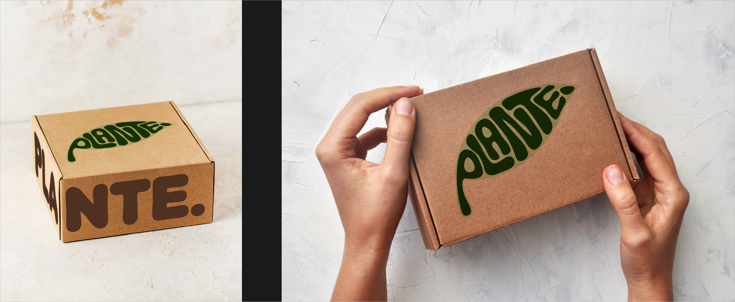Two brown cardboard boxes with a green leaf logo reading 'Plante', one held by hands and one on a surface.
