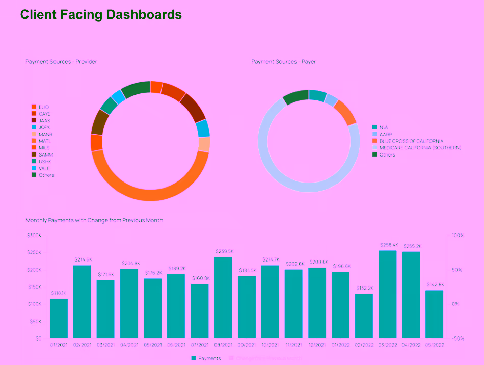 Client-facing revenue cycle management dashboard showing payment sources and monthly payment trends.